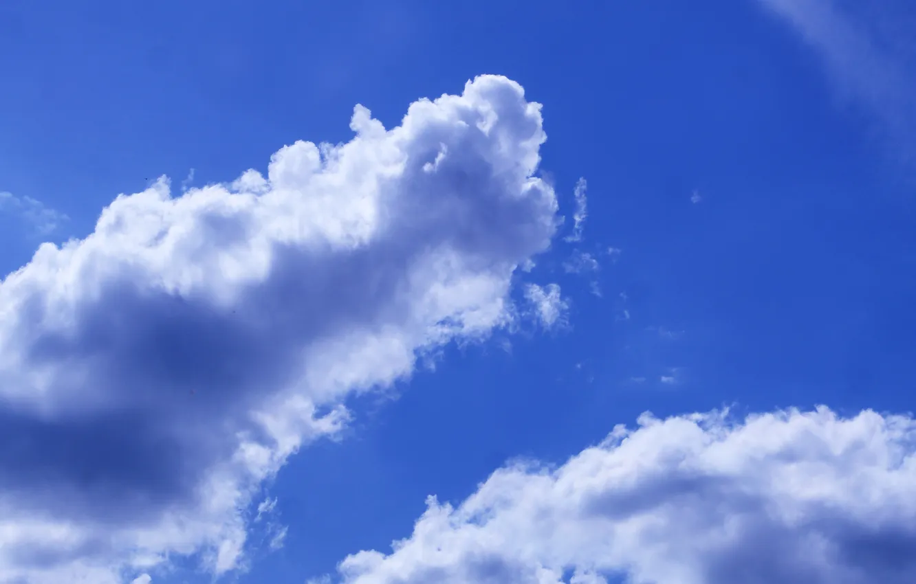 Фото обои sky, blue, cloud
