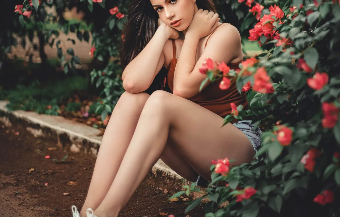 Фото обои взгляд, девушка, цветы, поза, кеды, ножки