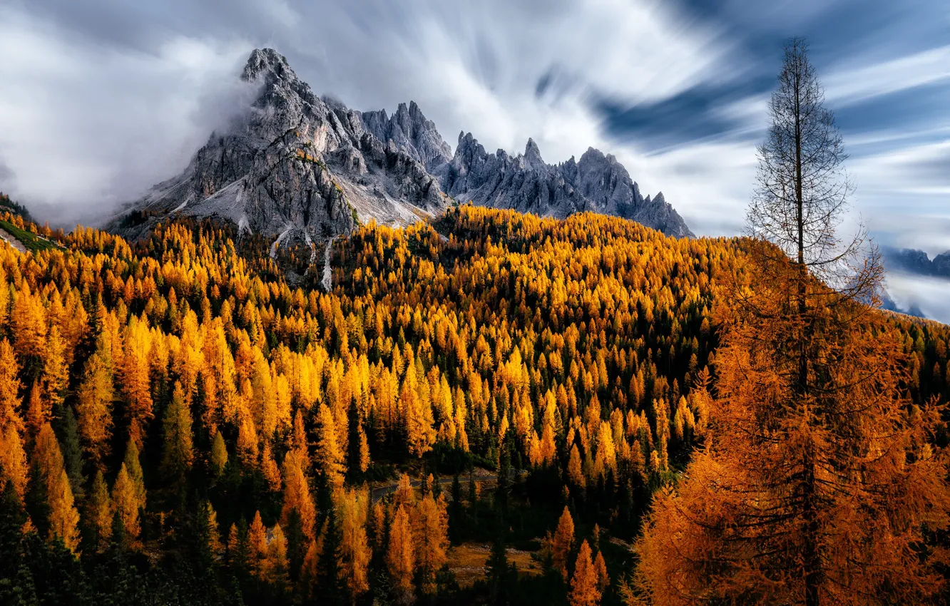 Фото обои осень, облака, деревья, горы, Италия, Dolomites