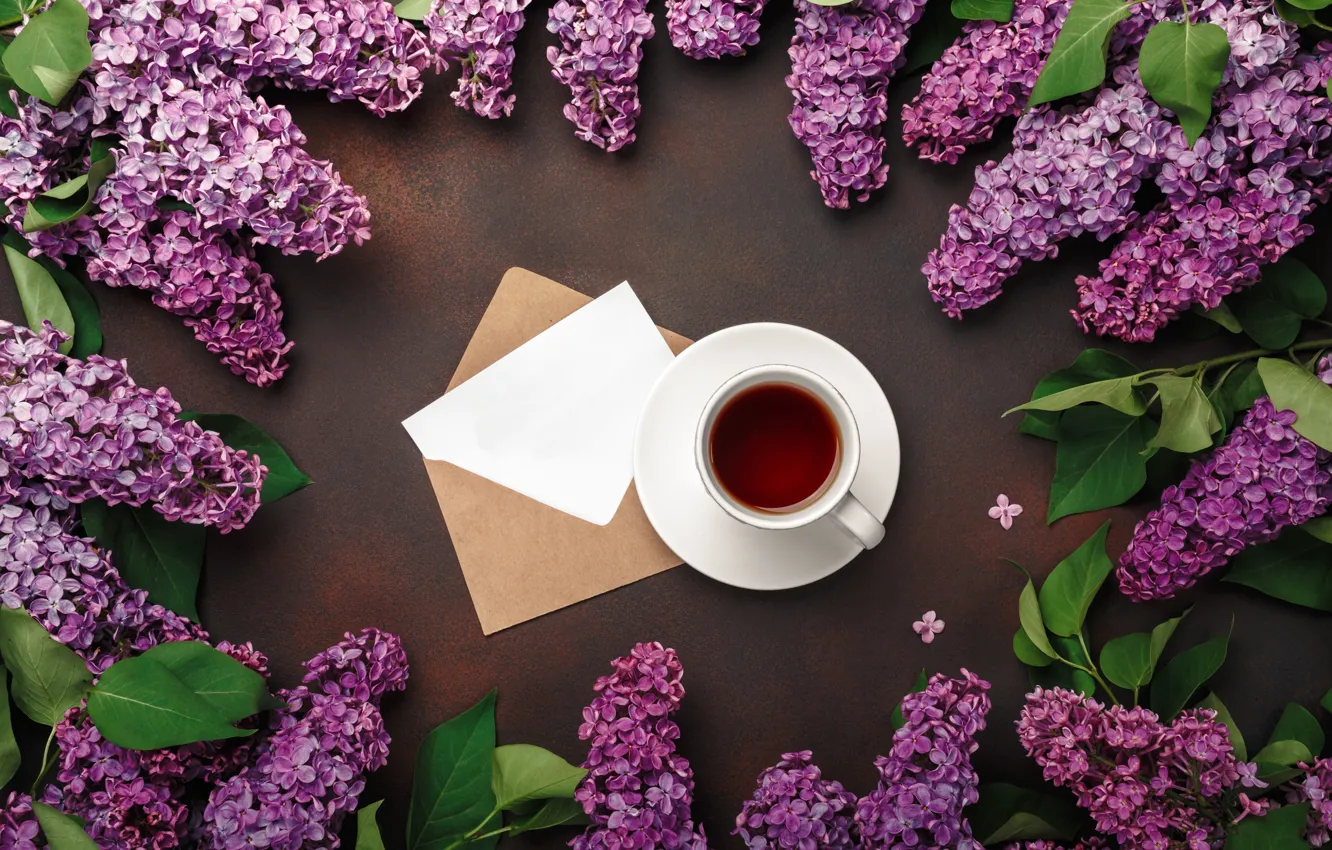 Фото обои цветы, flowers, сирень, romantic, coffee cup, spring, purple, lilac
