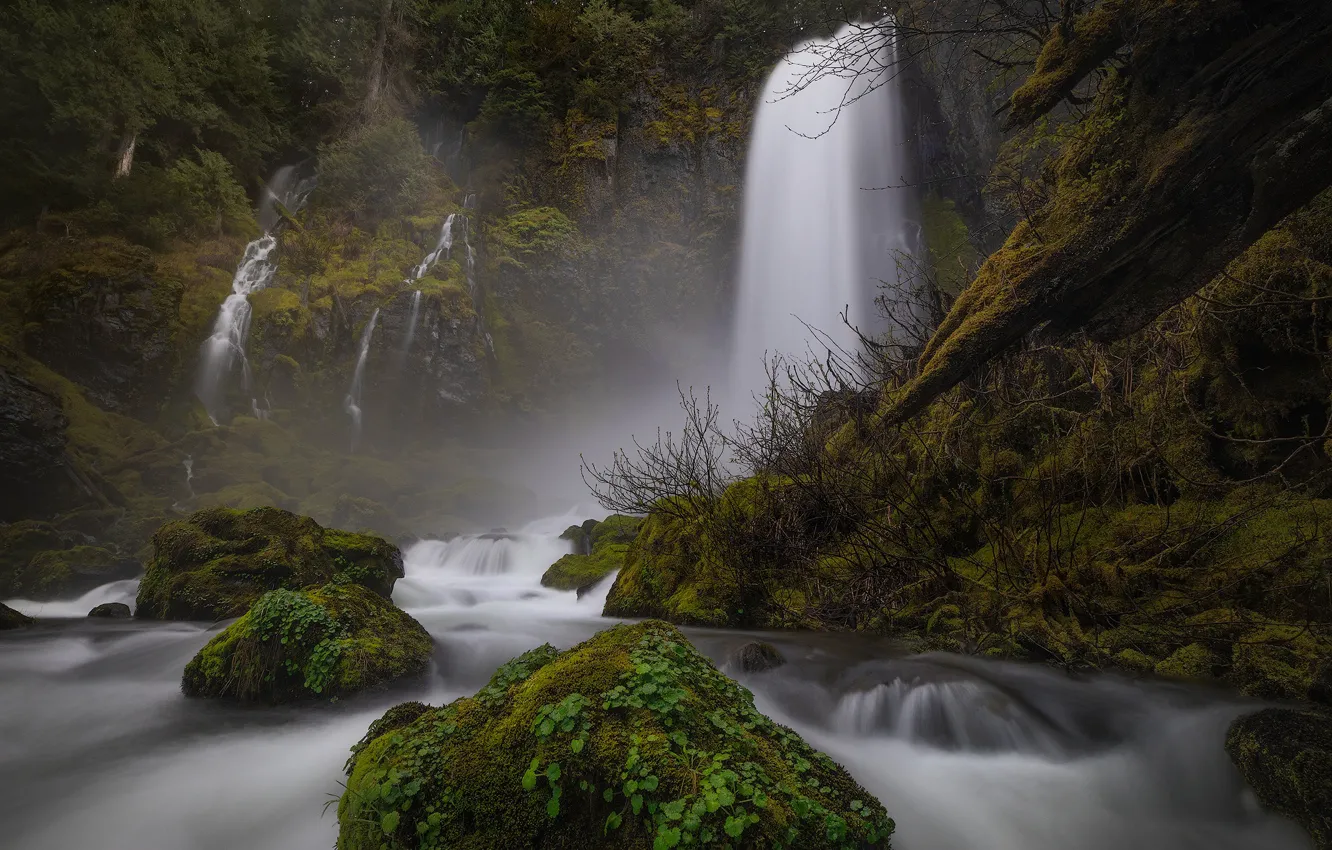 Фото обои лес, река, камни, мох, водопады, Columbia River Gorge, Washington State, Ущелье реки Колумбия