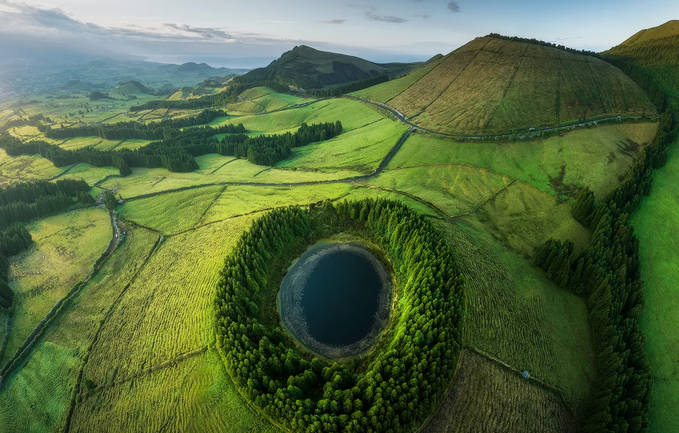 Фото обои green, pond, wonderful, drone, aerial view