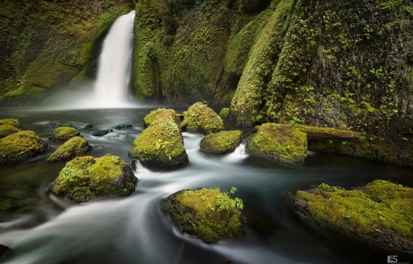 Фото обои лес, природа, река, камни, водопад