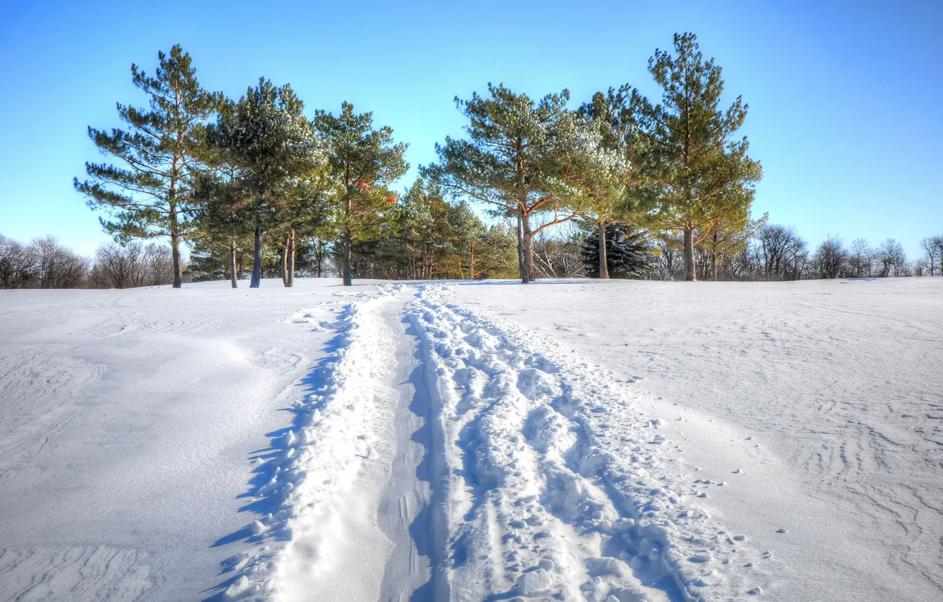 Фото обои зима, поле, небо, снег, деревья, след, дорожка
