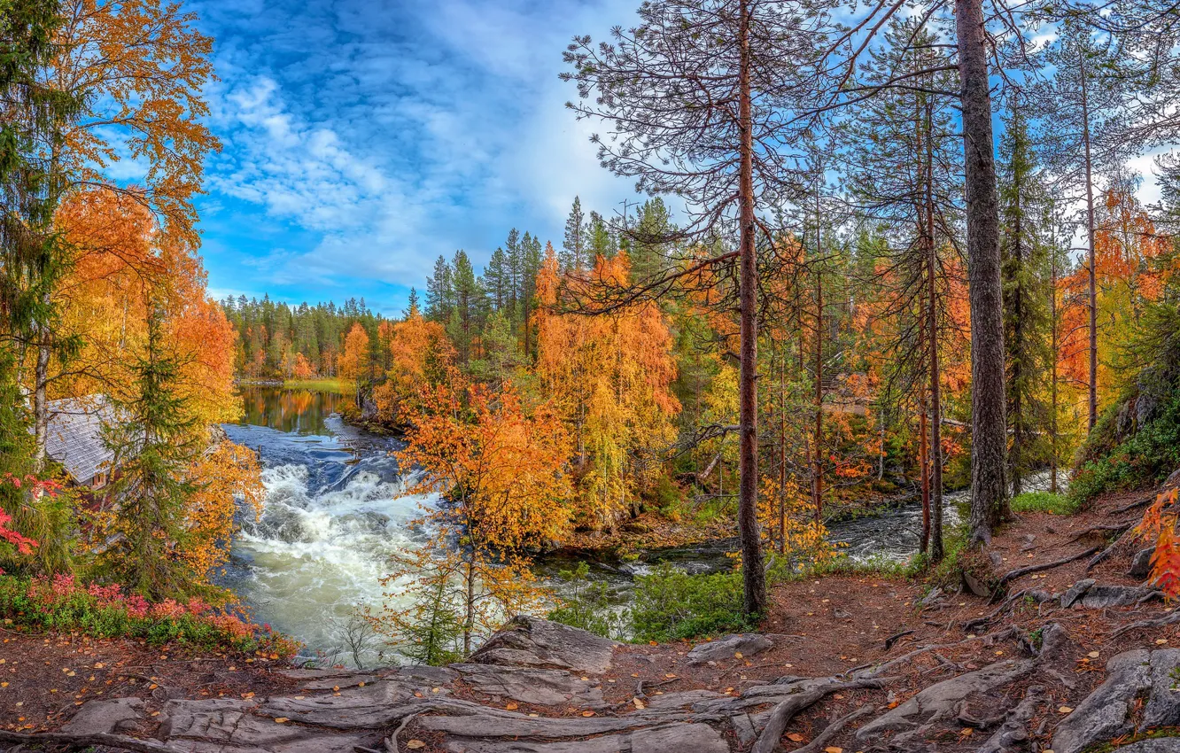 Фото обои осень, лес, река, скалы