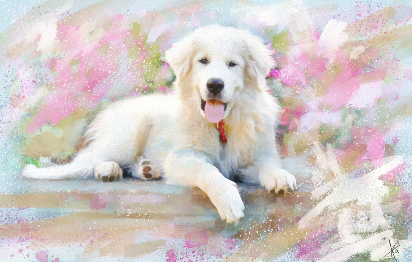 Фото обои рисунок, собака, картина, белая, живопись, мазки, нарисованная, довольная