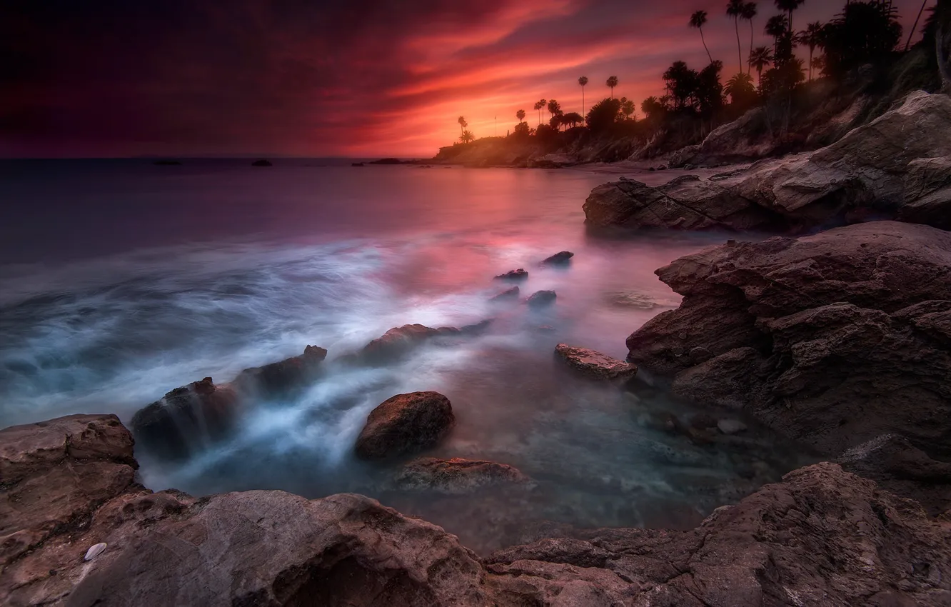 Фото обои пляж, пальмы, вечер, выдержка, Лагуна, Калифорния, США, штат