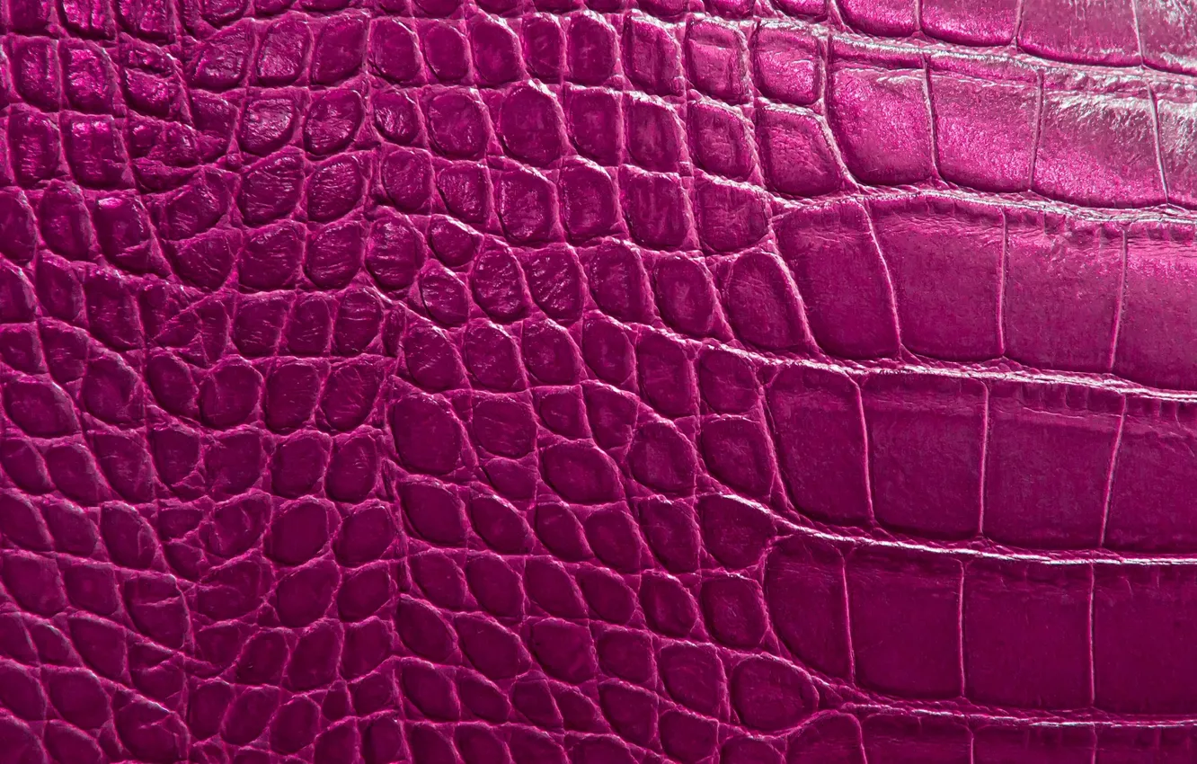 Фото обои reptile, scales, texture alligator skin