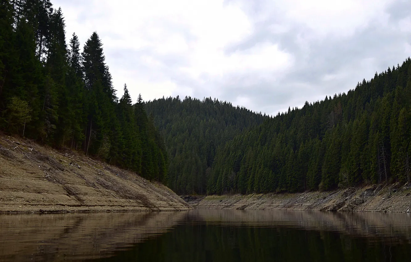 Фото обои Lake, Forest, Trees