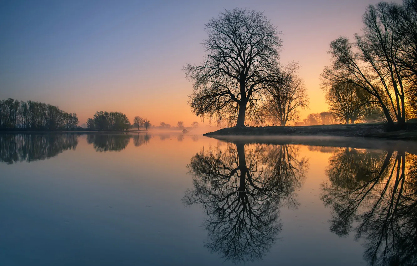Фото обои закат, озеро, дерево