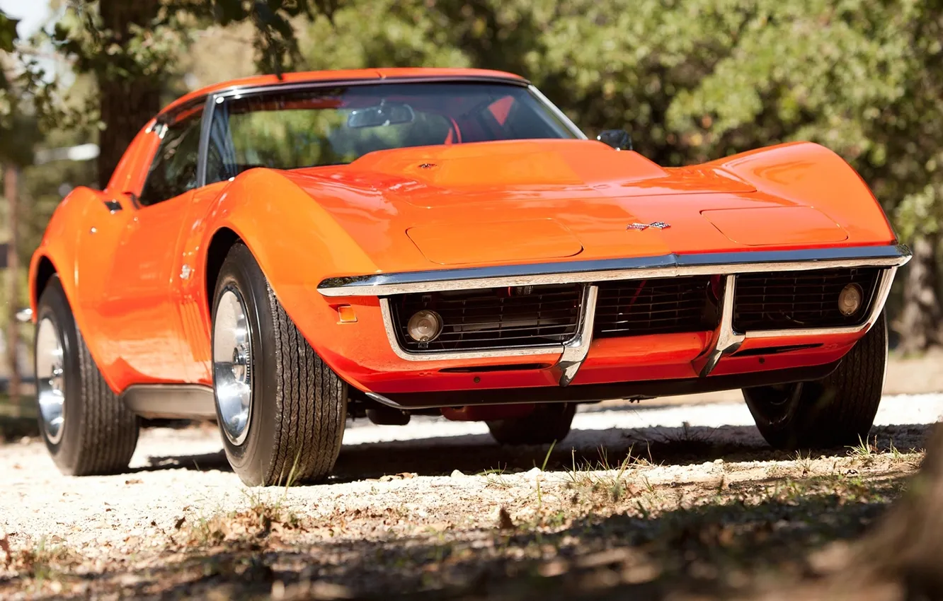 Фото обои деревья, оранжевый, Corvette, Chevrolet, 1969, шевроле, классика, передок