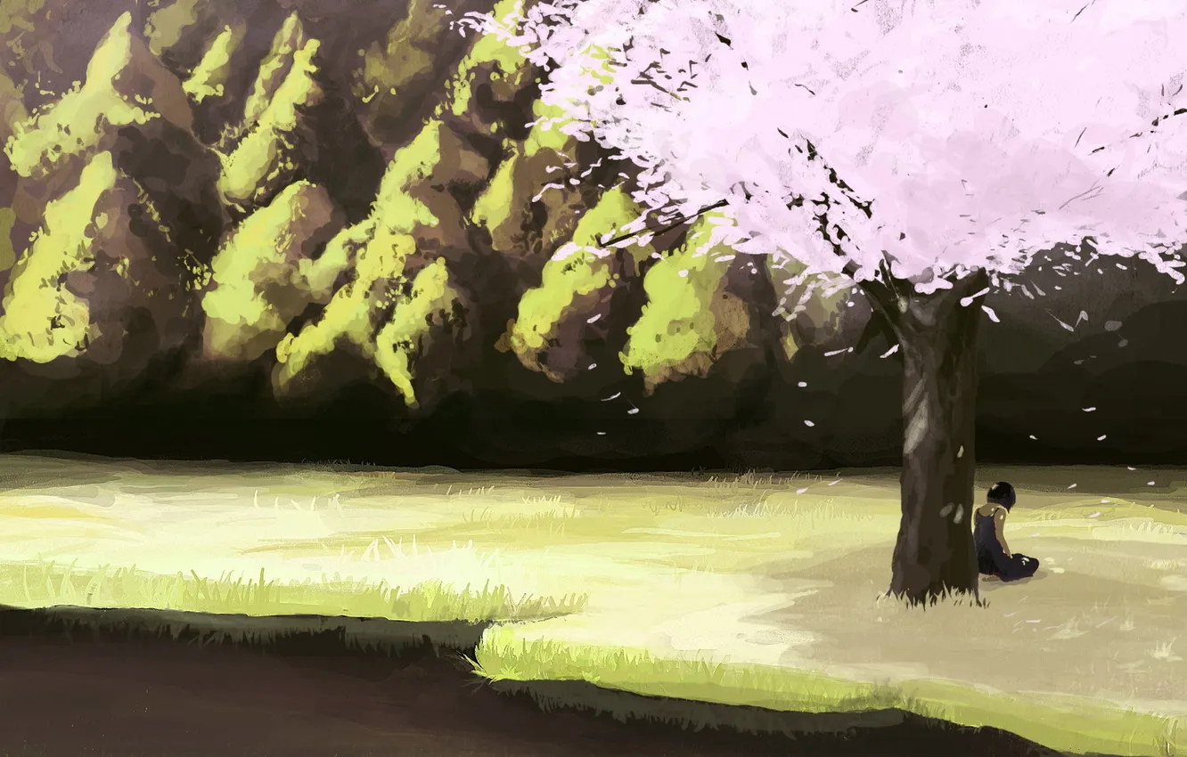 Фото обои девушка, река, дерево, берег, сакура