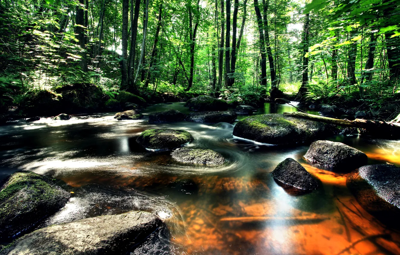 Фото обои зелень, лес, деревья, ручей, камни, Швеция, Vastra Gotaland