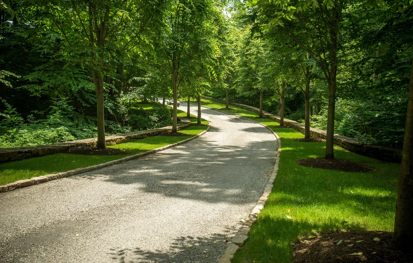Фото обои дорога, зелень, трава, деревья, парк, США, аллея, Conyers Farm