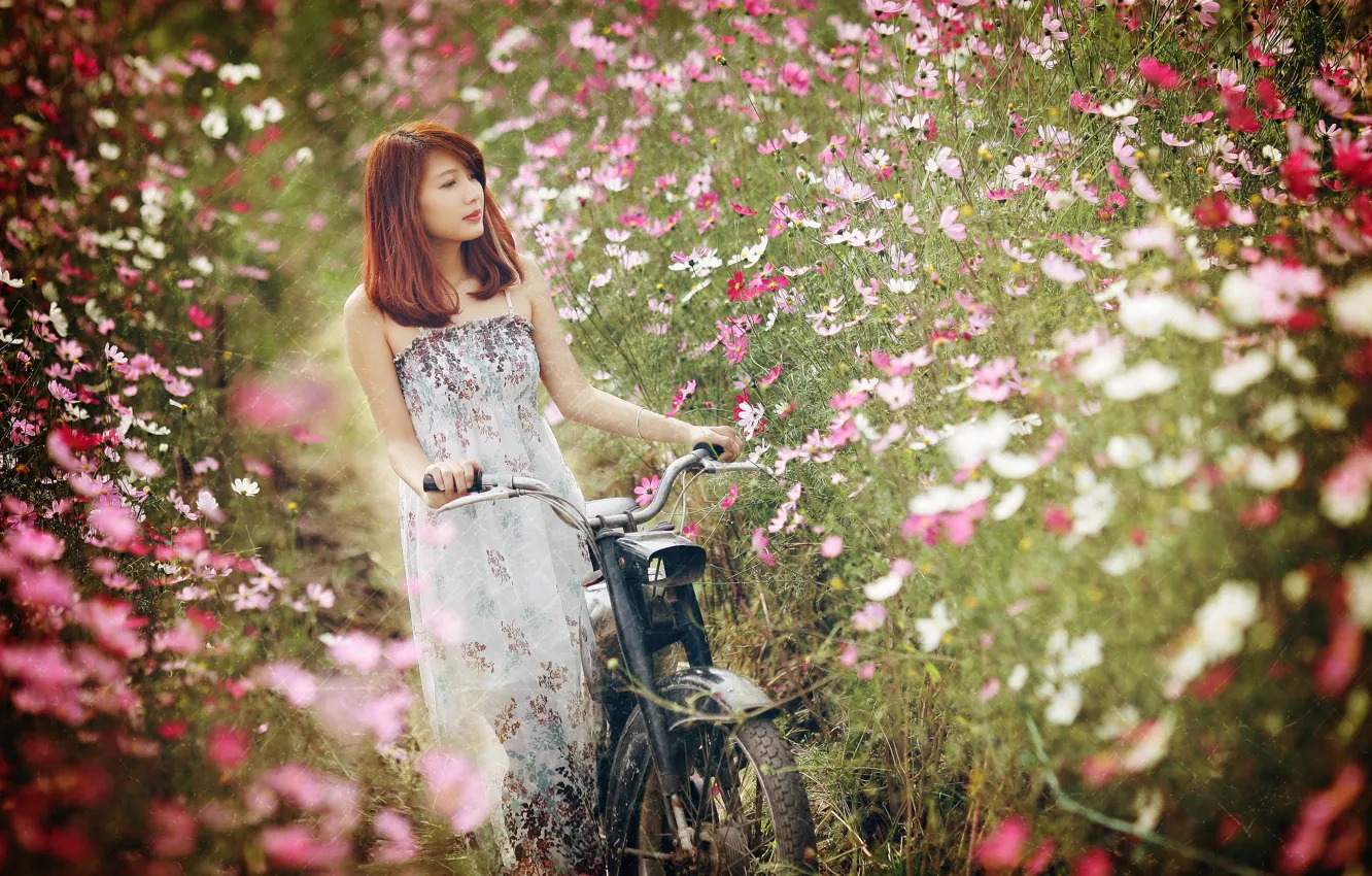 Фото обои девушка, цветы, велосипед
