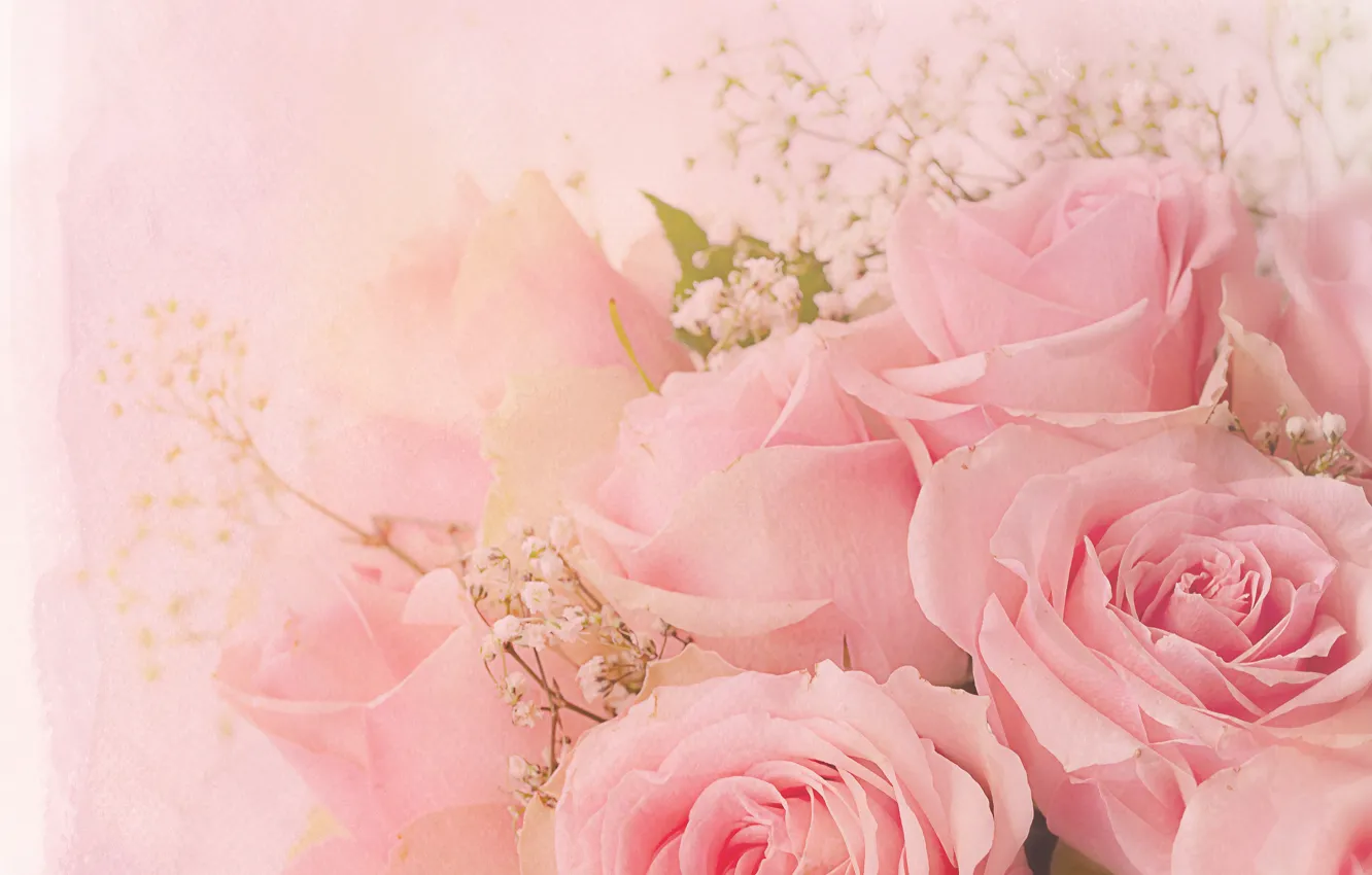Фото обои цветы, фон, розы, обработка, букет, розовые, бутоны, розовый фон