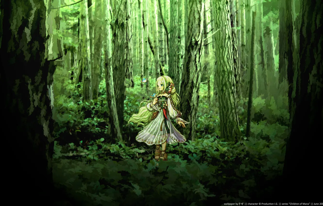 Фото обои лес, зеленый, красиво, анимэ, дэвушка