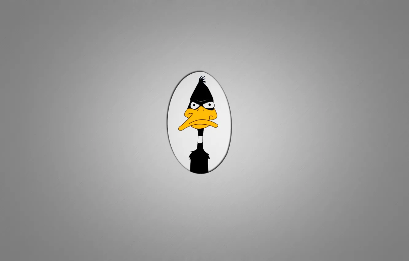 Фото обои минимализм, утка, Daffy Duck, Даффи Дак, Looney Tunes, темно серый фон, недовольная рожа