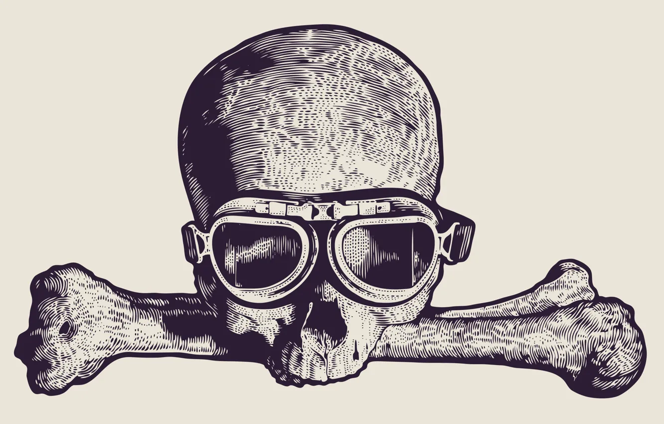 Фото обои skull, drawing, Glasses