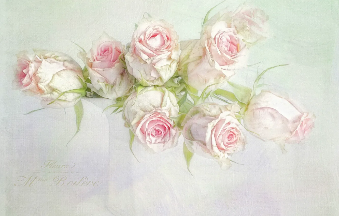 Фото обои цветы, надпись, графика, розы, букет, арт, ваза, розовые