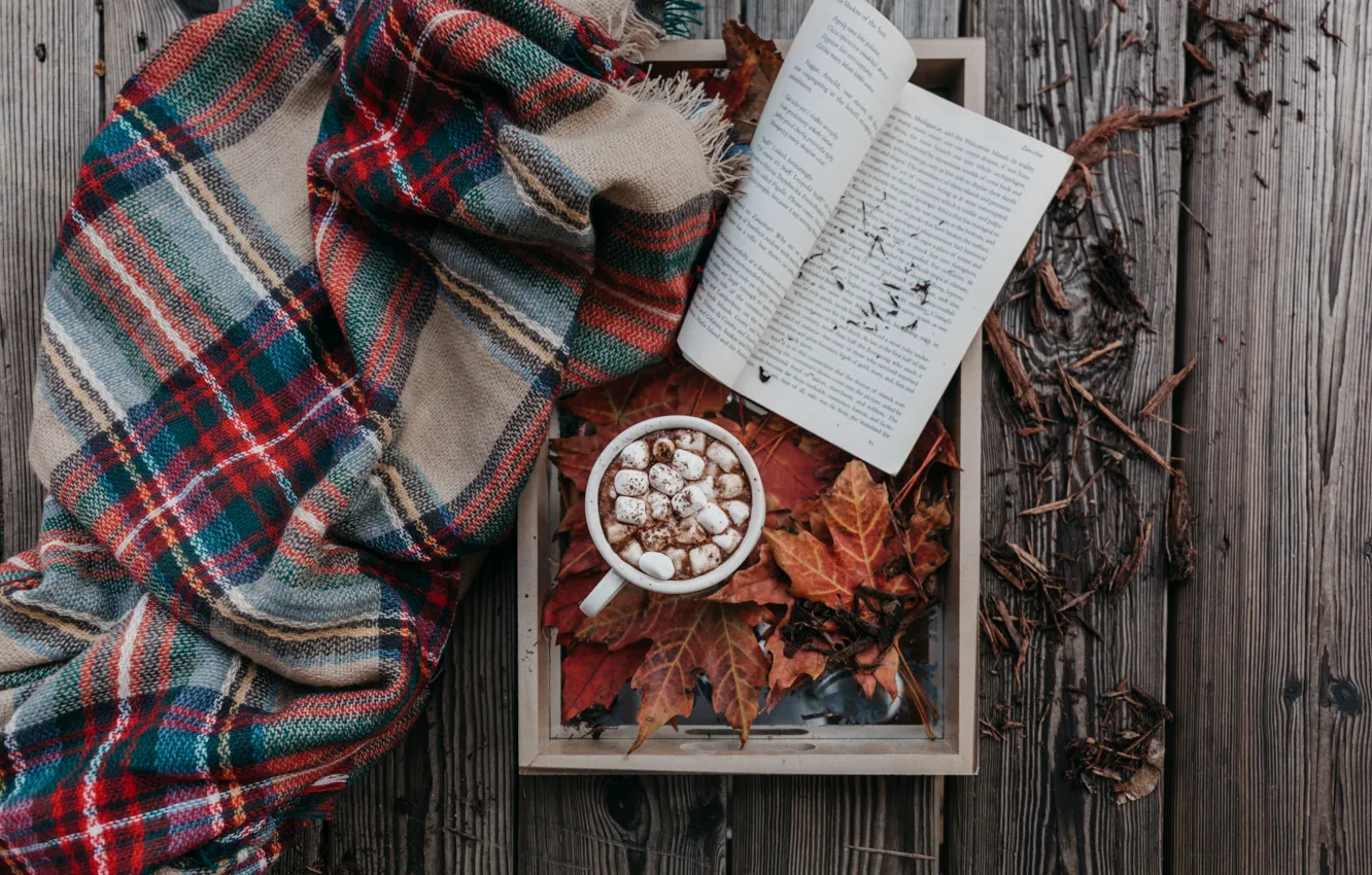 Фото обои осень, чашка, книга, плед, какао, маршмеллоу