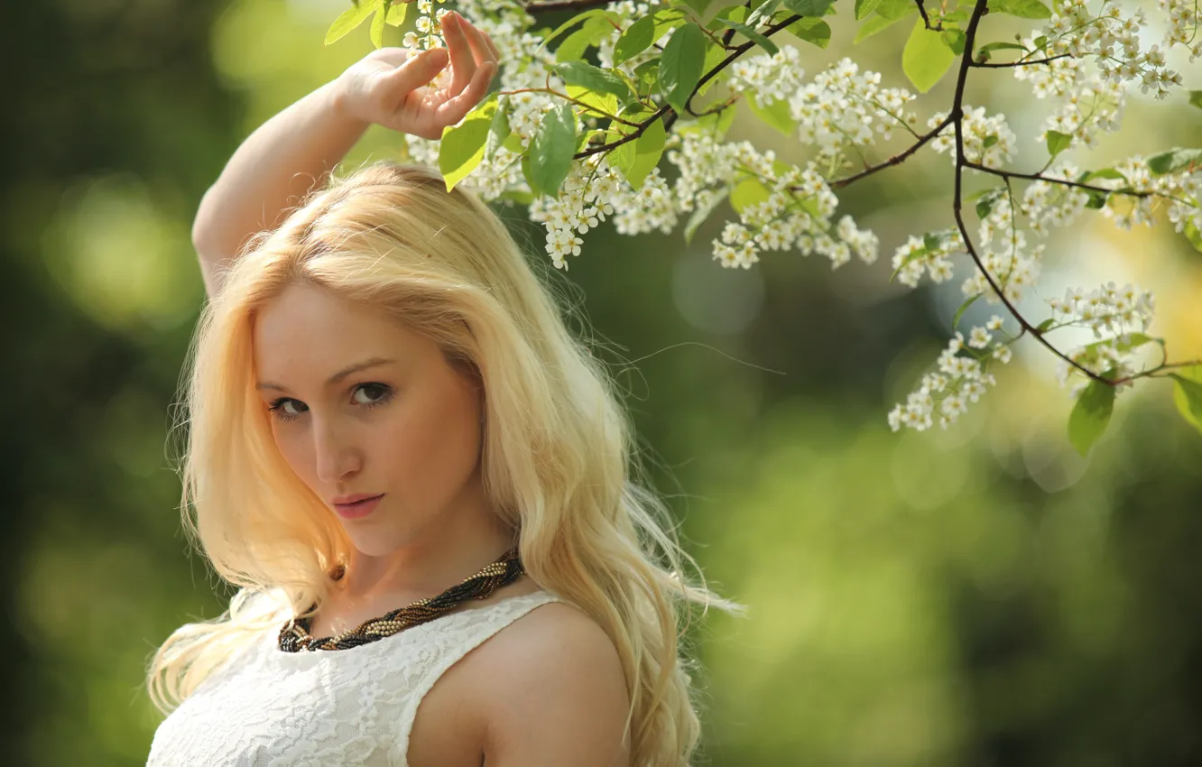 Фото обои взгляд, девушка, блондинка, Rachelle