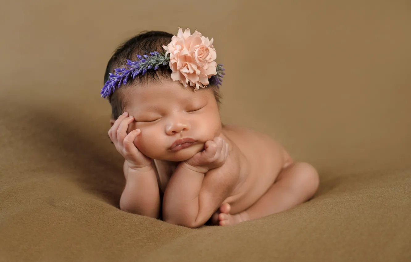 Фото обои цветок, поза, сон, девочка, венок, малышка, ребёнок, младенец