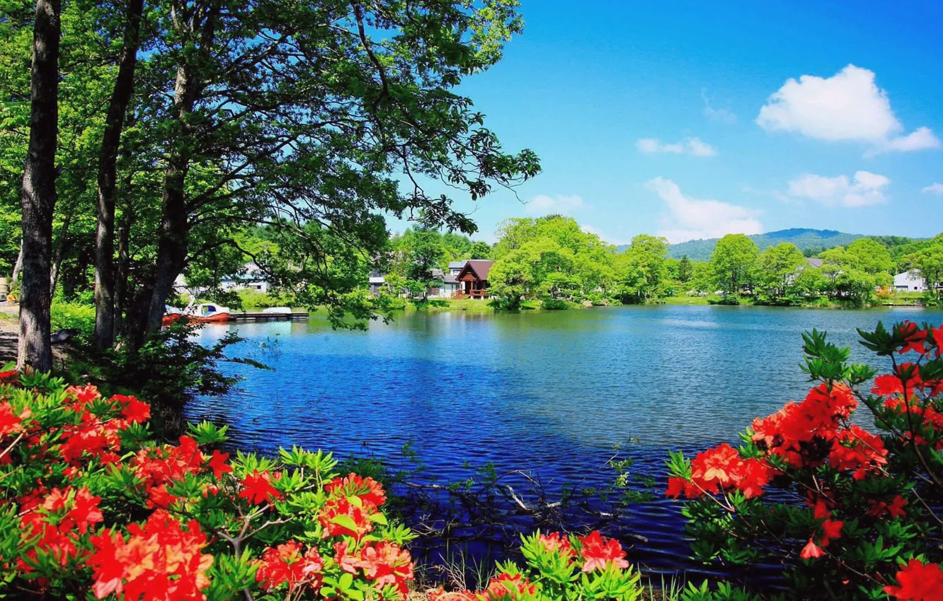 Фото обои flower, sky, lake, houses
