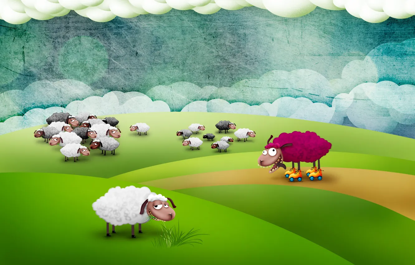 Фото обои поле, овцы, сумашедшая овца