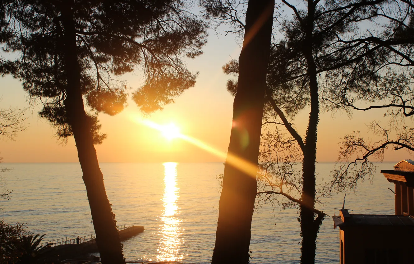 Фото обои море, закат, Сочи