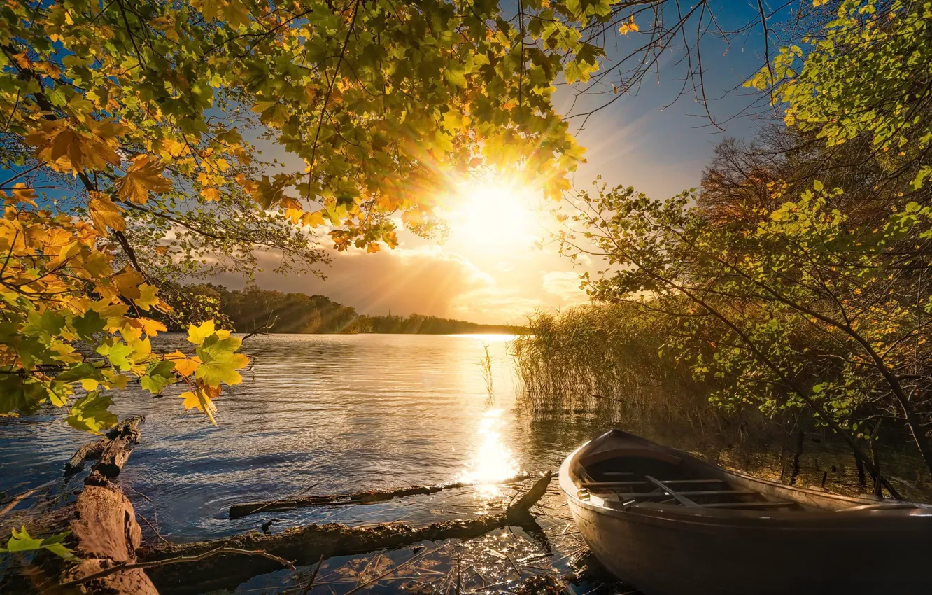 Фото обои осень, свет, озеро, лодка, утро