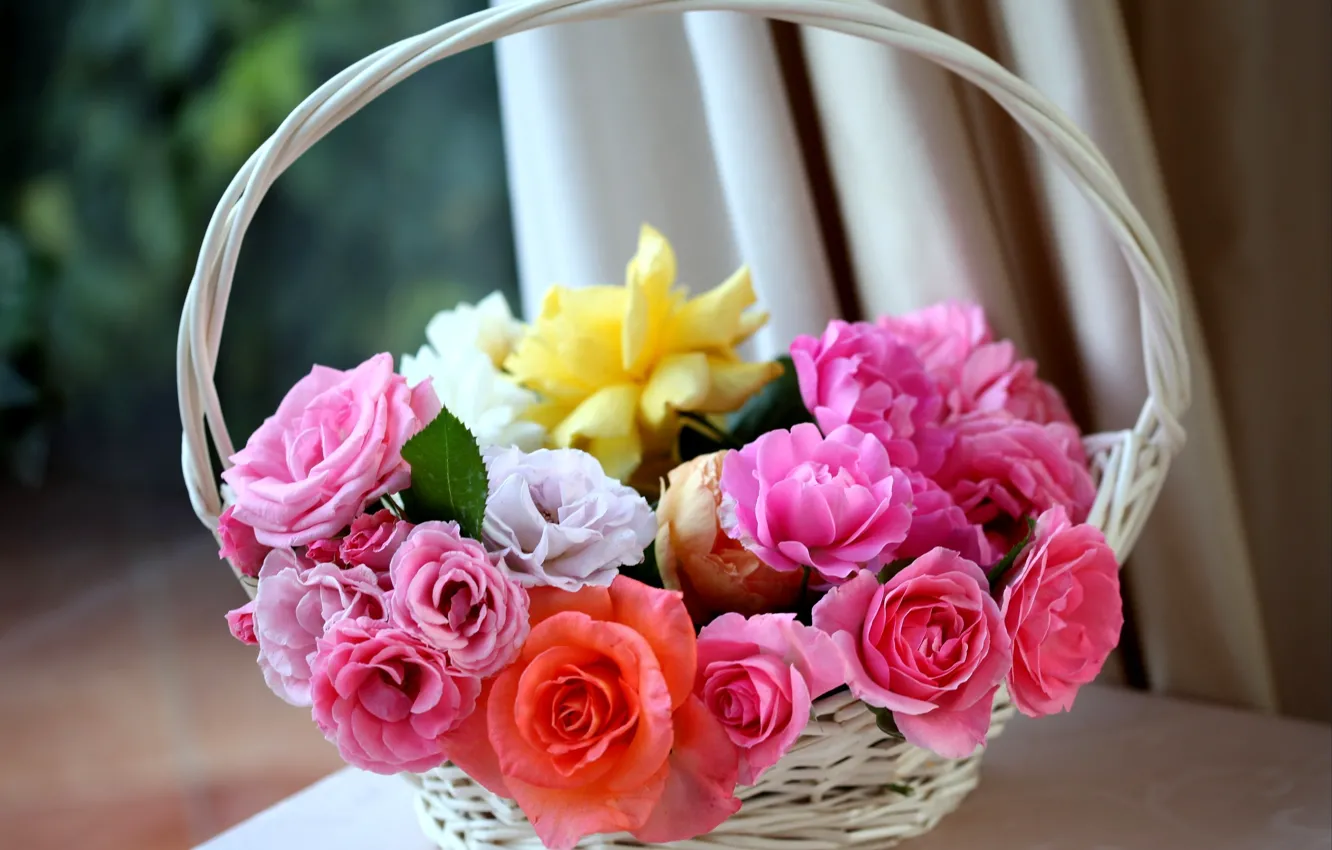 Фото обои белый, цветы, оранжевый, розовый, розы, корзинка