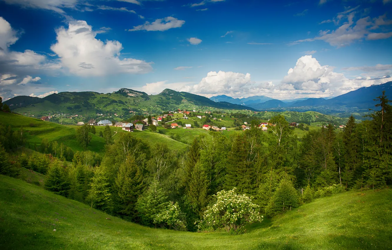 Фото обои деревья, пейзаж, горы, дома, долина