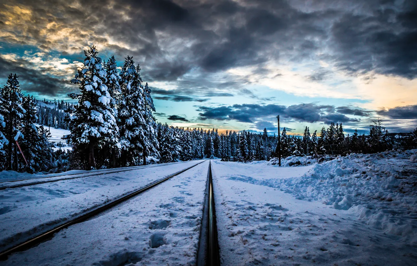 Фото обои зима, лес, снег, деревья, закат, тучи, рельсы, железная дорога
