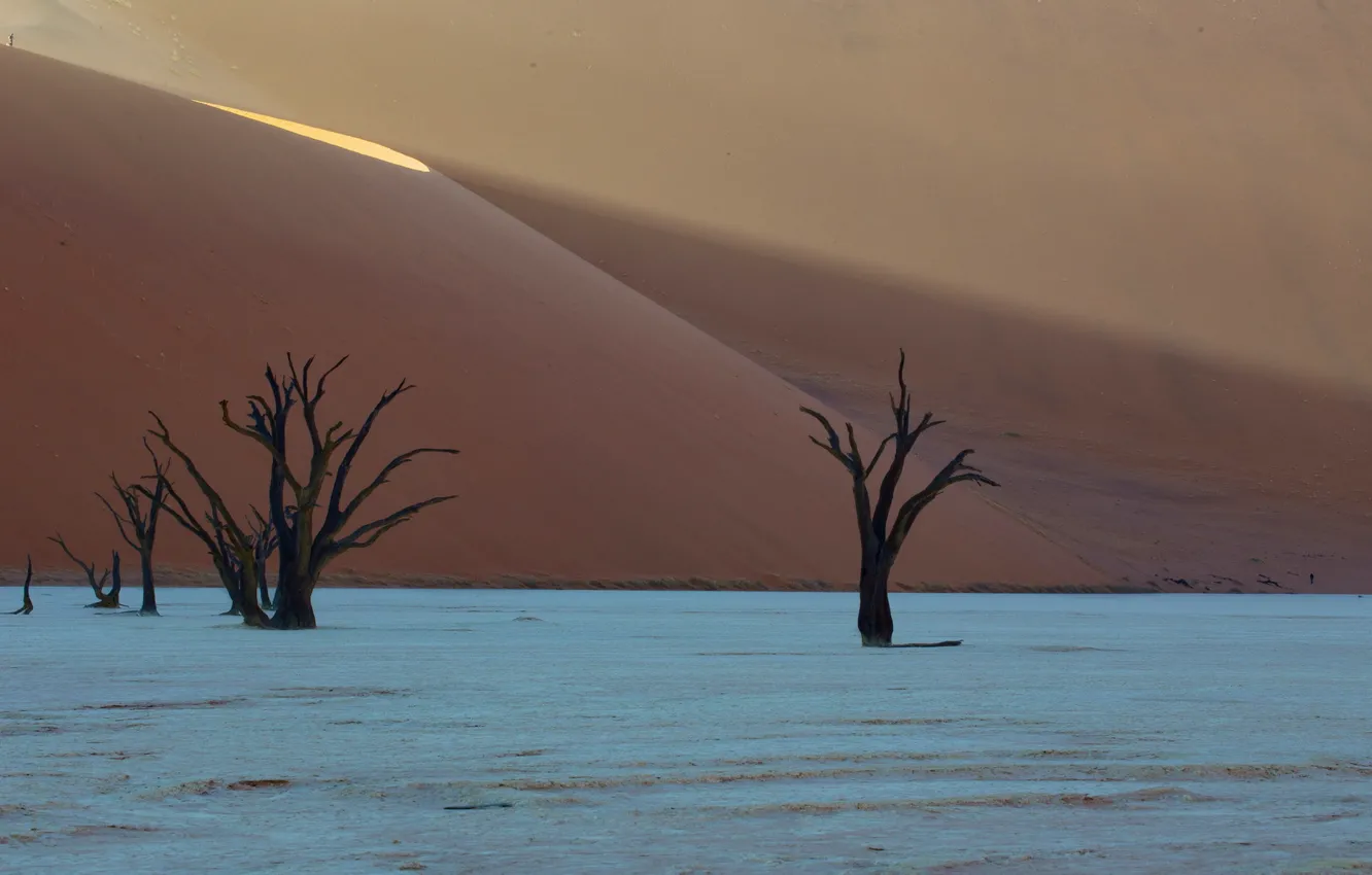 Фото обои desert, africa, dunes, Deadvlei, namibia