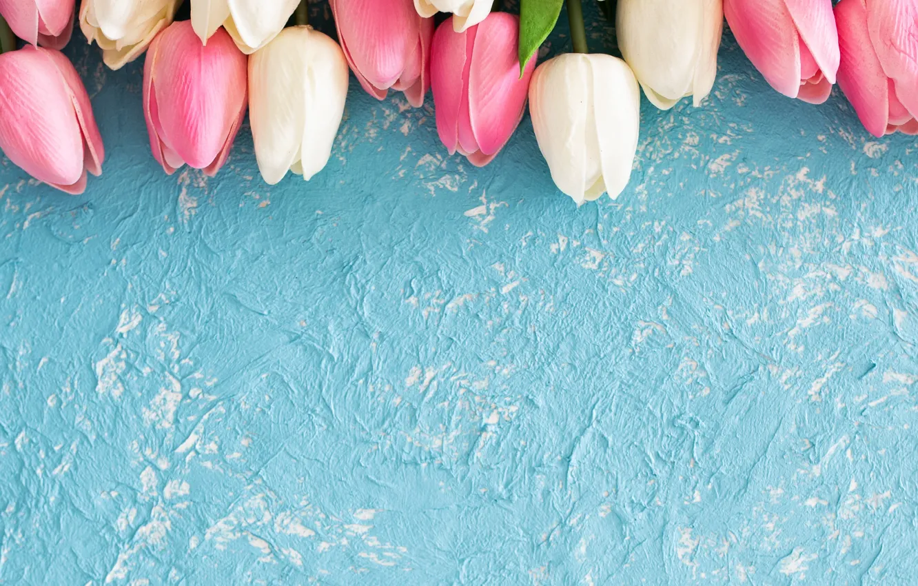 Фото обои цветы, фон, голубой, текстура, тюльпаны, LAIMDOTA GRIVANE