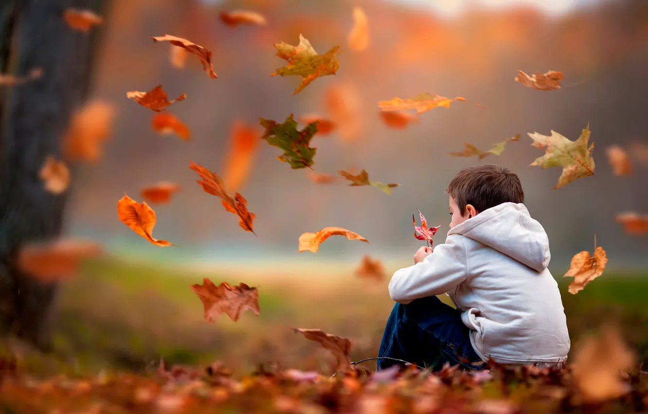 Фото обои осень, листья, мальчик