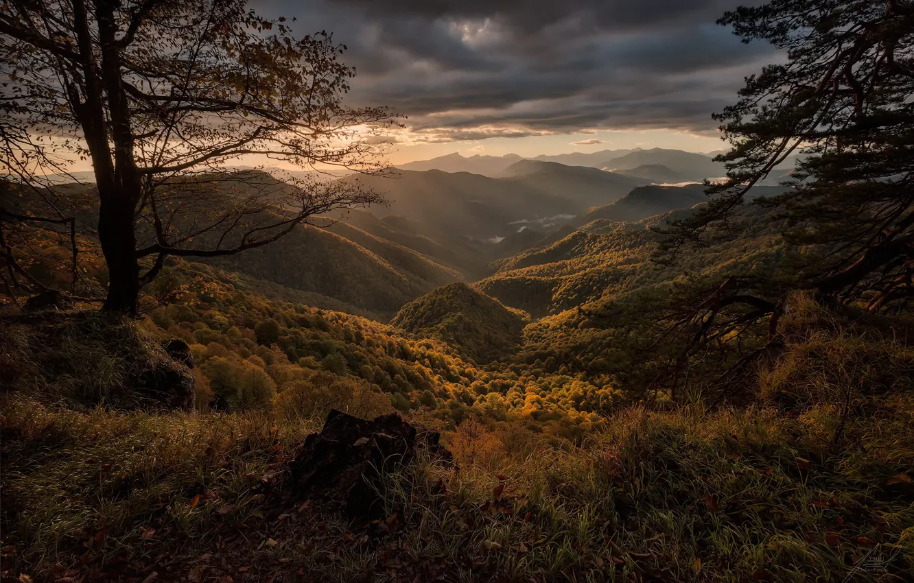Фото обои осень, деревья, пейзаж, горы, тучи, природа, растительность, долина