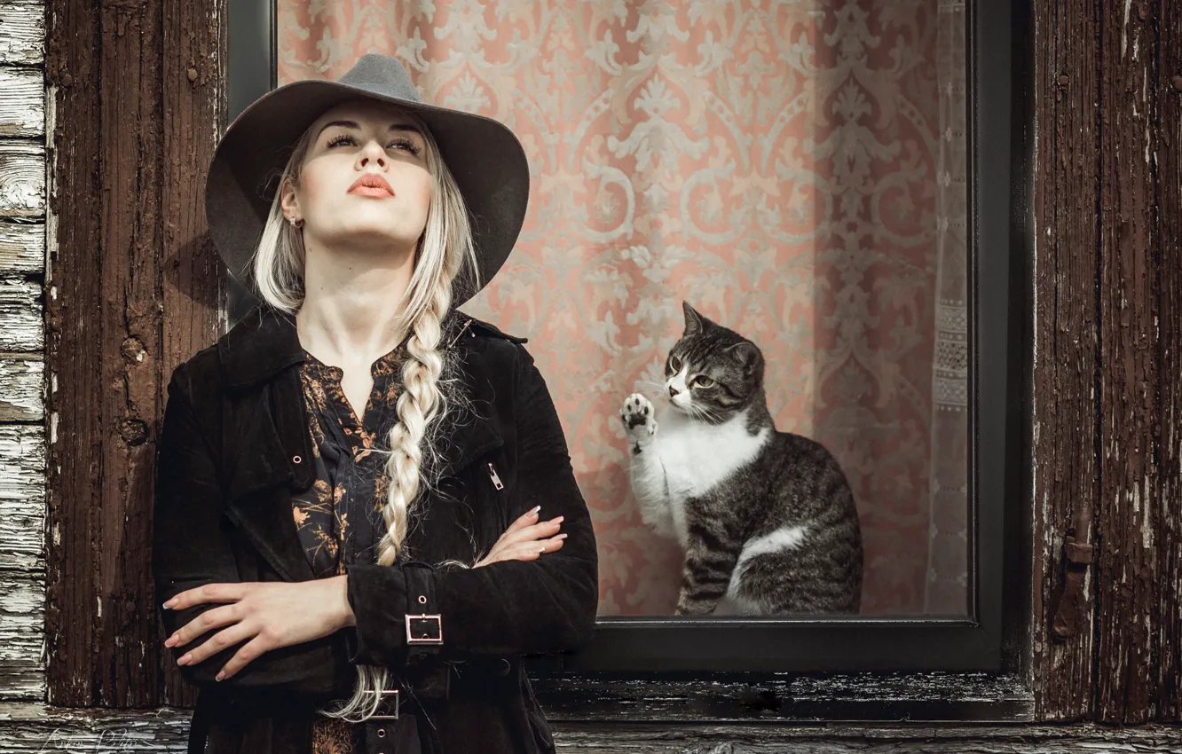 Фото обои кот, девушка, шляпа, окно, коса