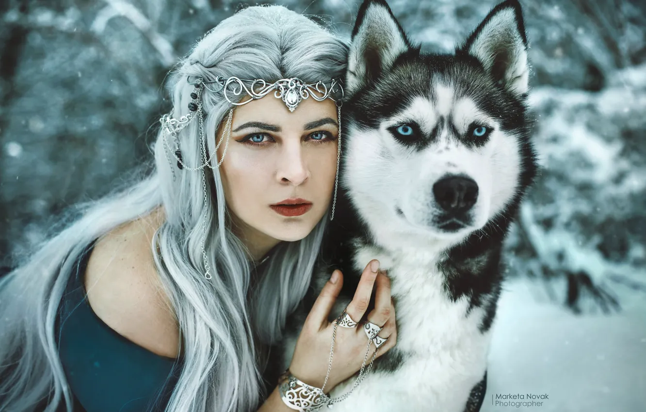 Фото обои зима, взгляд, девушка, украшения, лицо, собака, длинные волосы, голубые волосы