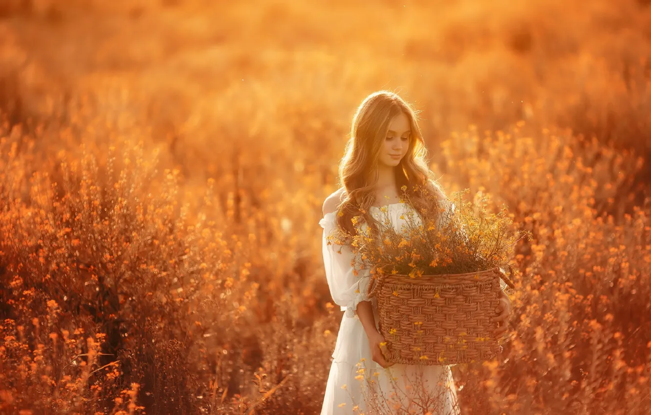Фото обои поле, девушка, солнце, цветы, корзина, волосы, Ника Колесникова