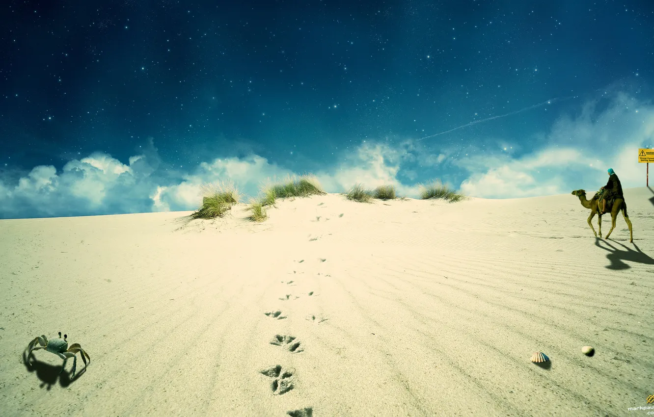 Фото обои песок, небо, верблюд, бэдуин
