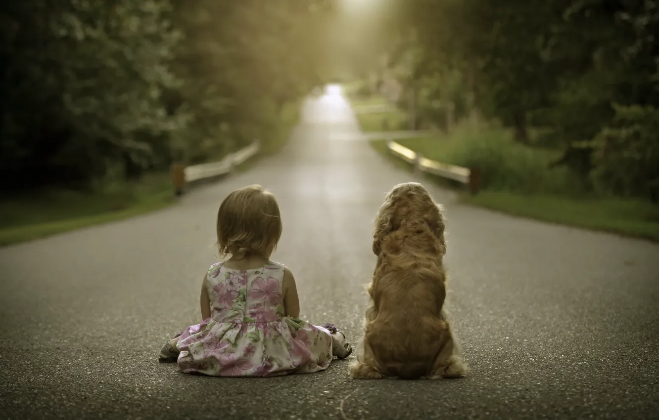 Фото обои дорога, собака, девочка