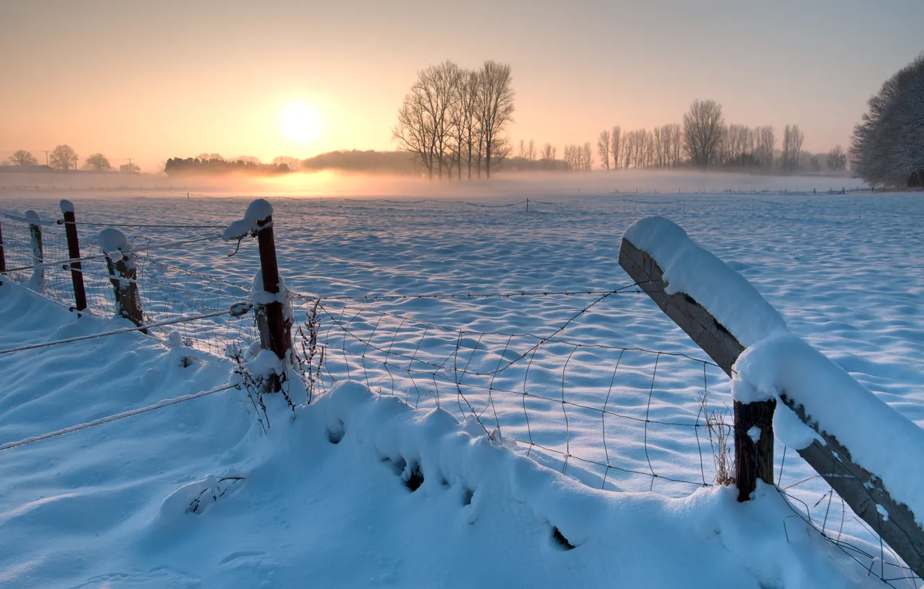 Фото обои зима, поле, небо, солнце, снег, деревья, закат, забор