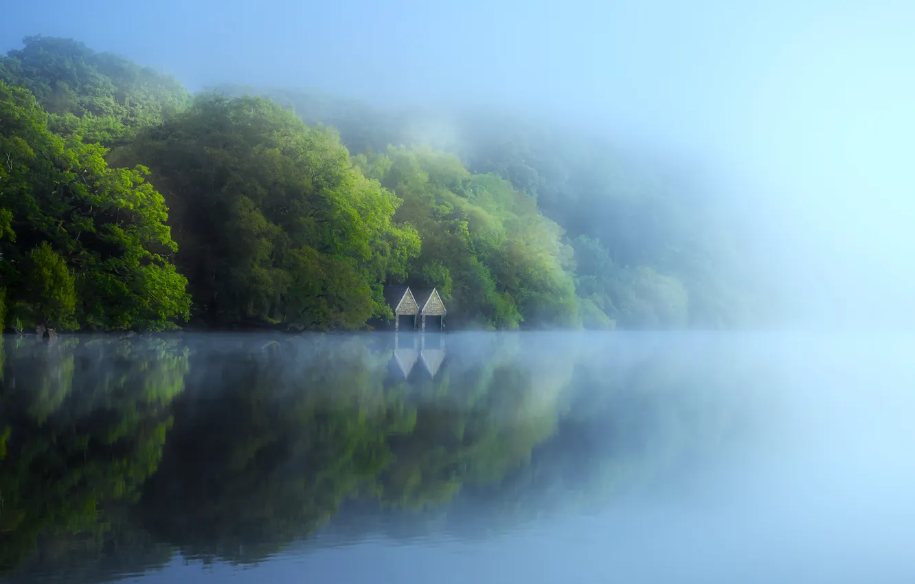 Фото обои forest, trees, landscape, nature, water, lake, fog, reflection