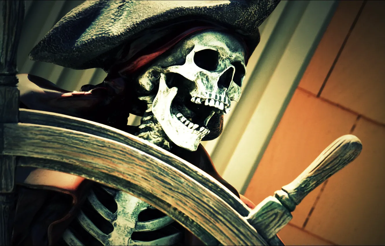 Фото обои шляпа, пират, скелет, челюсть, штурвал