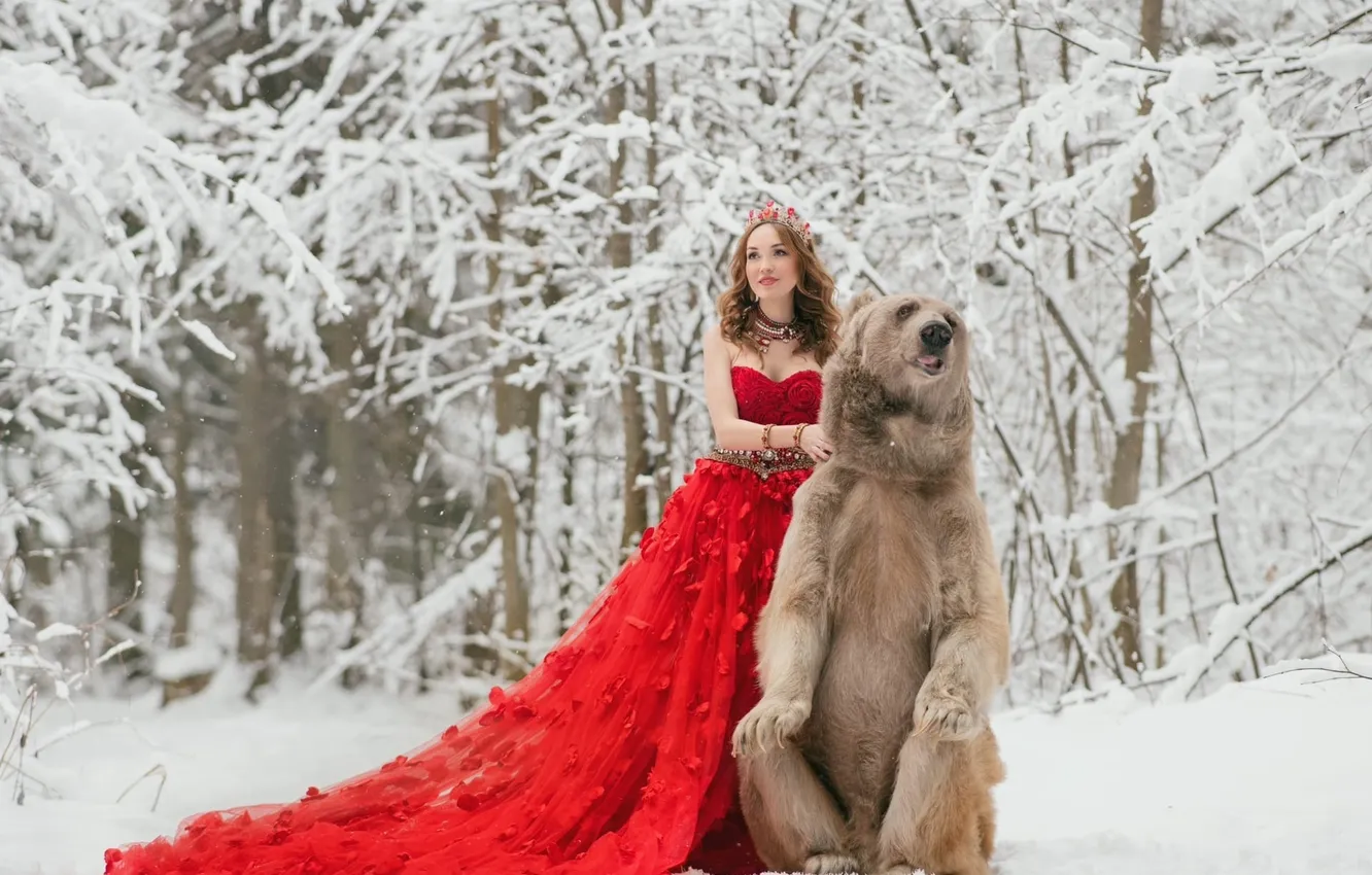 Фото обои зима, иней, лес, взгляд, девушка, снег, деревья, ветки