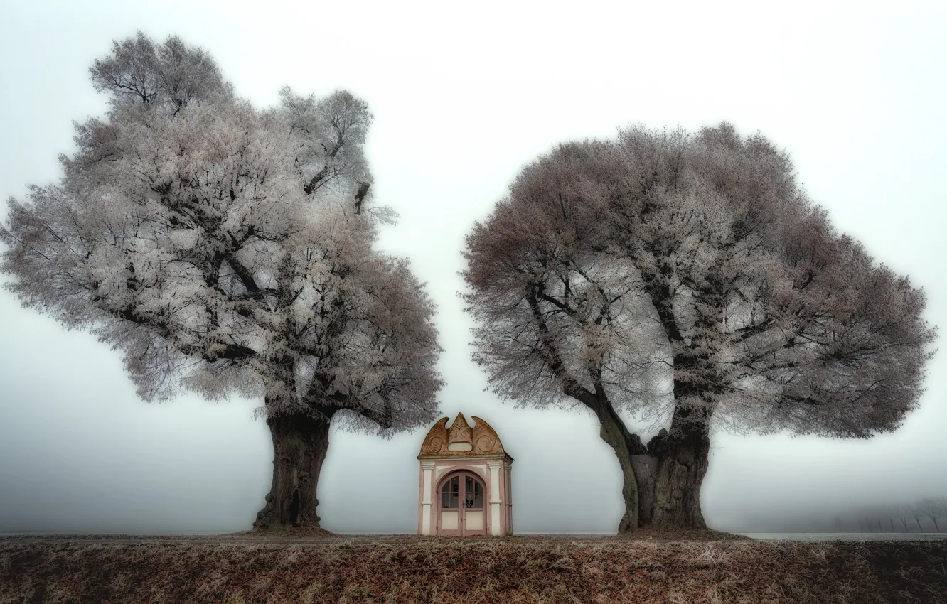 Фото обои деревья, природа, часовня