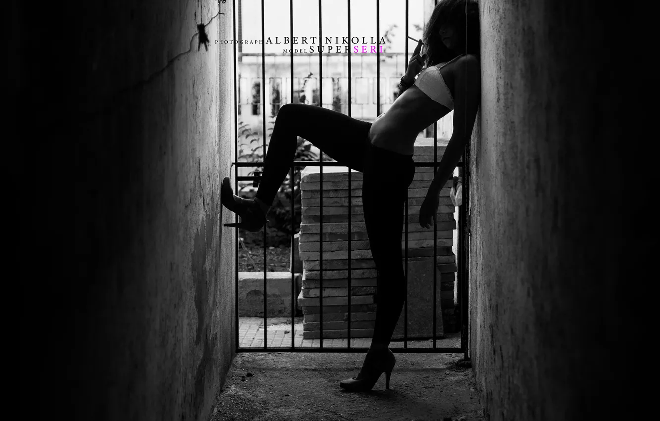 Фото обои girl, ass, panties, legs, photos, model, tattoo, brunette