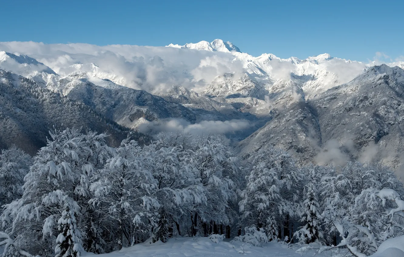 Фото обои зима, снег, горы, дервья